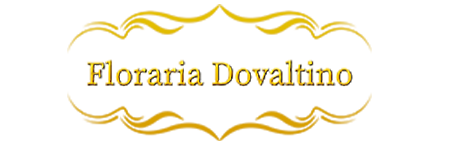 Floraria Dovaltino